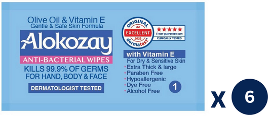 Antibacterial Wipes (24 Pcs) x 6